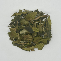 Bai Mu Dan White Tea - Loose Leaf Dragon Girl Tea
