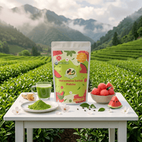 Watermelon Sorbet Matcha - Large Size Dragon Girl Tea