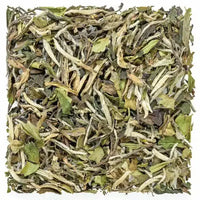 Bai Mu Dan White Tea - Loose Leaf Dragon Girl Tea