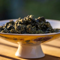 Taiwanese Milk Oolong - Loose Leaf Dragon Girl Tea