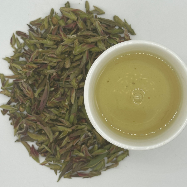Wild Ancient Tree White Tea - Loose Leaf Dragon Girl Tea