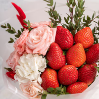 Strawberry Rose Matcha - Large Size