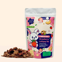 Strawberry Lollipop Kid's Tea - Herbal Tea - Compostable Tea Bags