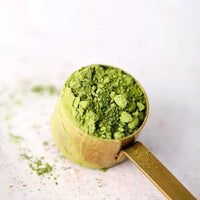 Super Premium Matcha - Large Size 2025 Dragon Girl Tea