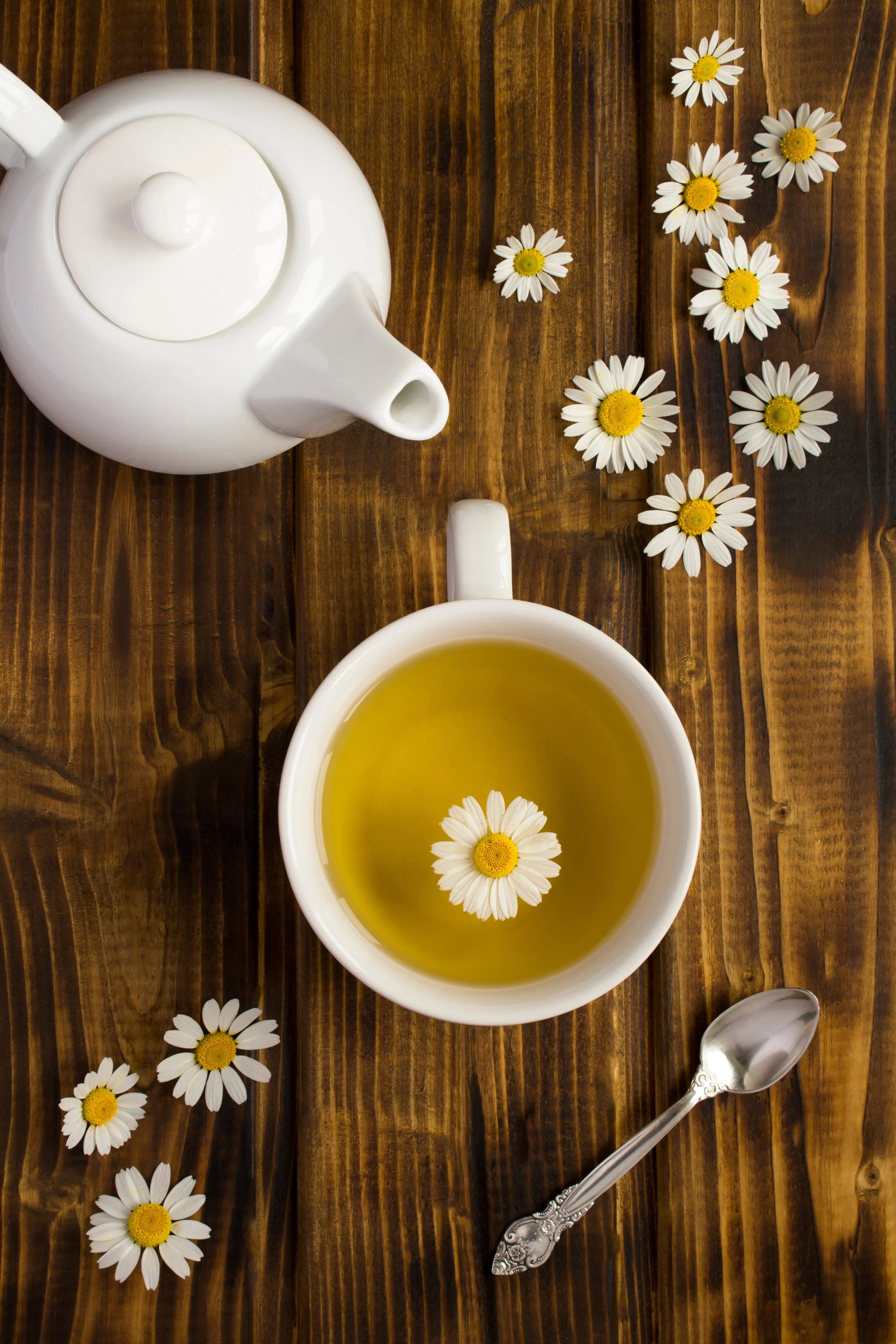 Chamomile, a Dragon Girl Favorite Dragon Girl Tea