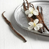 Vanilla Bean Matcha - Large Size 2025