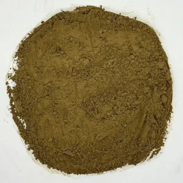 Hojicha Green Tea Powder Dragon Girl Tea