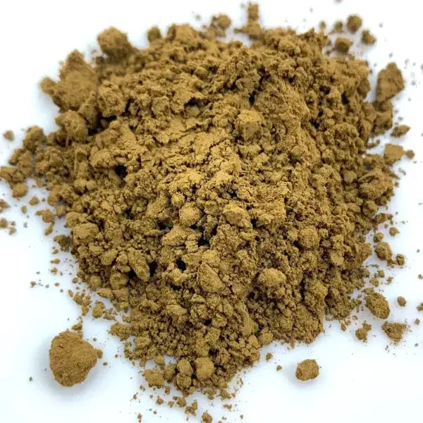 Hojicha Green Tea Powder Dragon Girl Tea