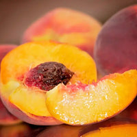 Peach Cobbler Matcha - Large Size 2025