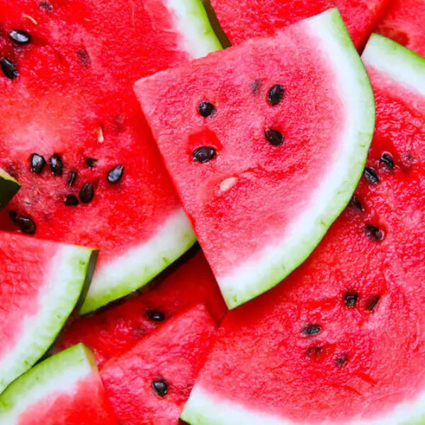 Watermelon Slice Refresher Tea - Compostable Tea Bags