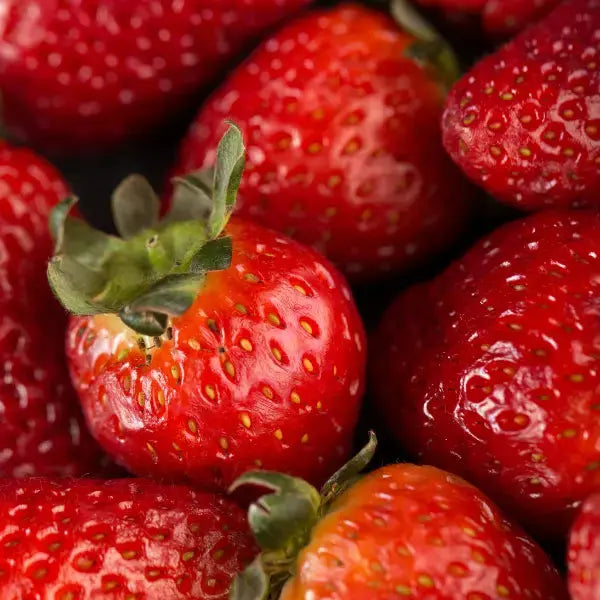 Strawberry Cloud Tea - Herbal Tea - Compostable Tea Bags Dragon Girl Tea