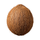 Coconut Caramel