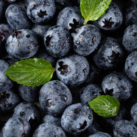 Blueberry Muffin Matcha - Large Size 2025