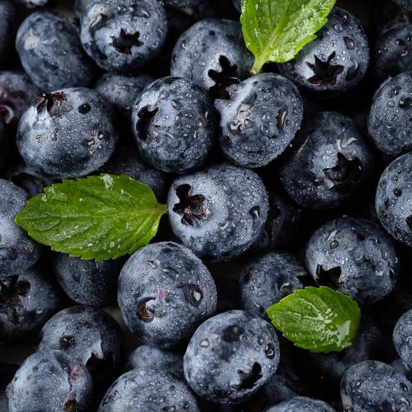 Blueberry Muffin Matcha - Large Size 2025