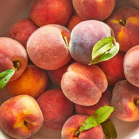 Peachy Keen Black Tea - Compostable Tea Bags 2025 Dragon Girl Tea