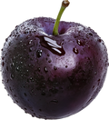 Sleepy Plum