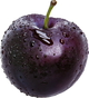 Sleepy Plum