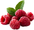 Raspberry Rooibos Herbal Tisane