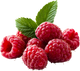 Raspberry Rooibos