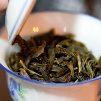 Phoenix Green Oolong - Loose Leaf Dragon Girl Tea