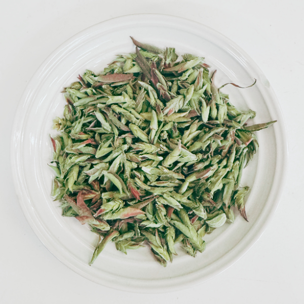 Wild Ancient Tree White Tea - Loose Leaf