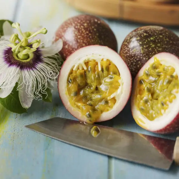 Passion Fruit Paradise Oolong Tea - Compostable Tea Bags