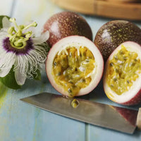 Passion Fruit Paradise Oolong Tea - Compostable Tea Bags