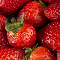 Strawberry Milkshake Matcha - Large Size 2025