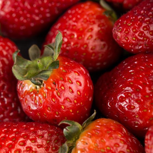 Strawberry Milkshake Matcha - Large Size 2025