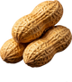 Peanut Butter