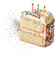 Vanilla Birthday Cake